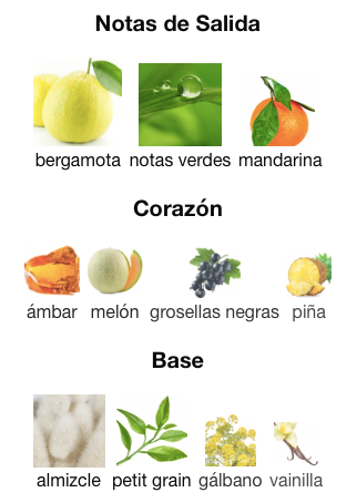 Al Haramain Amber Oud Aqua Dubai -Decant