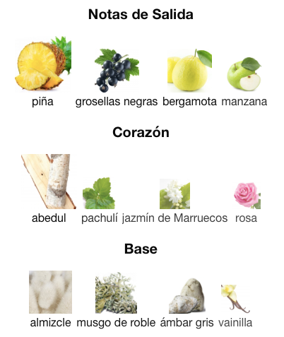 Armaf Supremacy silver - decant