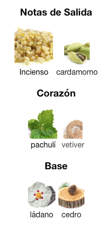 Boss - Bottled Elixir - Decant