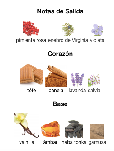 Emporio Armani - Stronger With You Intensly