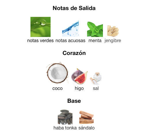 Jean Paul Gaultier - Le Beau Paradise Garden