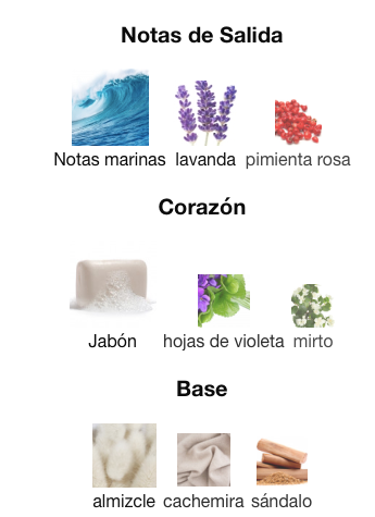 Paco Rabanne - Invictus Parfum Decant