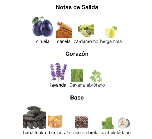 Jean Paul Gaultier - Le Male Elixir Absolu Decant