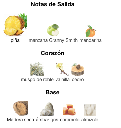 afnan- 9PM rebel - decant