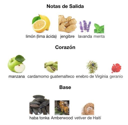 Azzaro Wanted - Decant