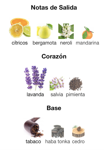 Dolce & Gabanna - Pour Homme