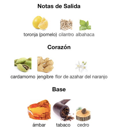 Dolce & Gabanna - The One EDP