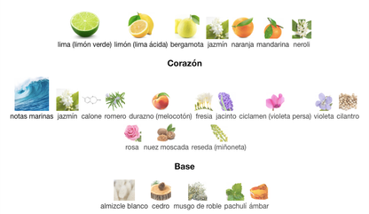 Giorgio Armani - Acqua Di Gio EDT