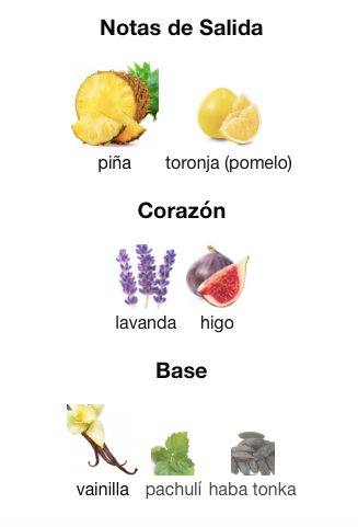 Lattafa - Shaheen Gold Decant