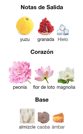 versace - Bright Crystal Decant