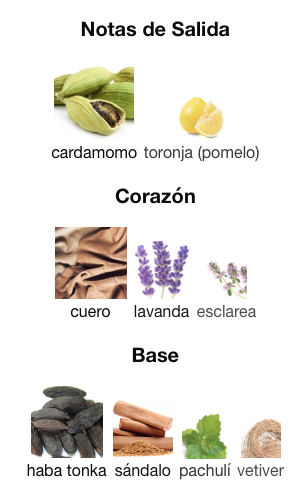 Yves Saint Laurent - La Nuit De L´homme eau de parfum Decant