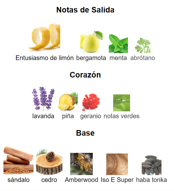 Chanel - Bleu de Chanel Parfum- Decant